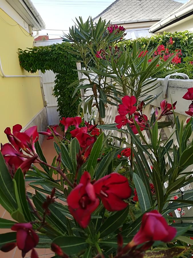 Castello Vendeg Es Apartmanhaz เอ็กเกอร์ ภายนอก รูปภาพ